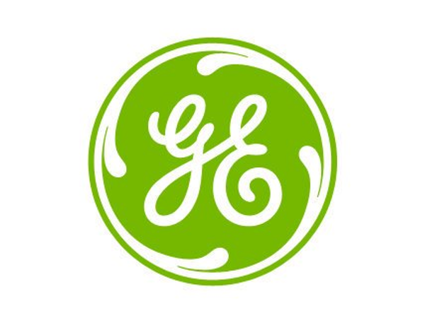 Nicolette A. Munoz Consulting - General Electric Ecomagination